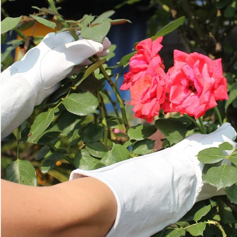 A Pair of Garden Gloves Thorn  - огляд і ціна Gardening Glove Waterproof