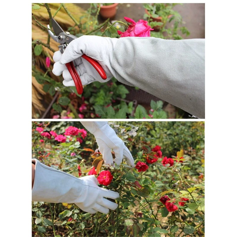 A Pair of Garden Gloves Thorn  - огляд і ціна Gardening Glove Waterproof