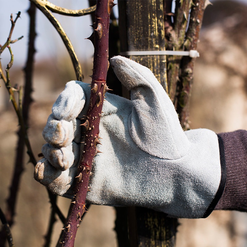 A Pair of Garden Gloves Thorn  - огляд і ціна Gardening Glove Waterproof